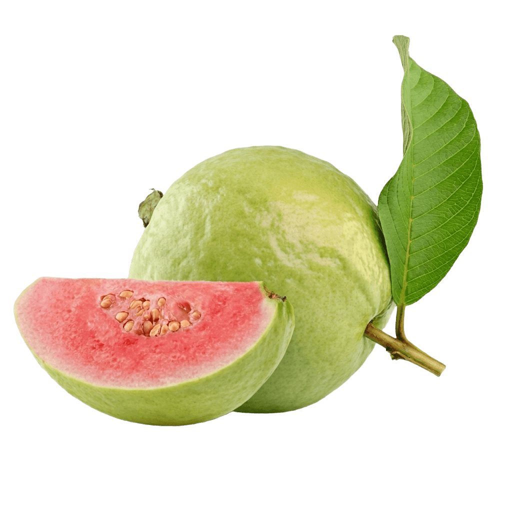 Jarvi Red Guava